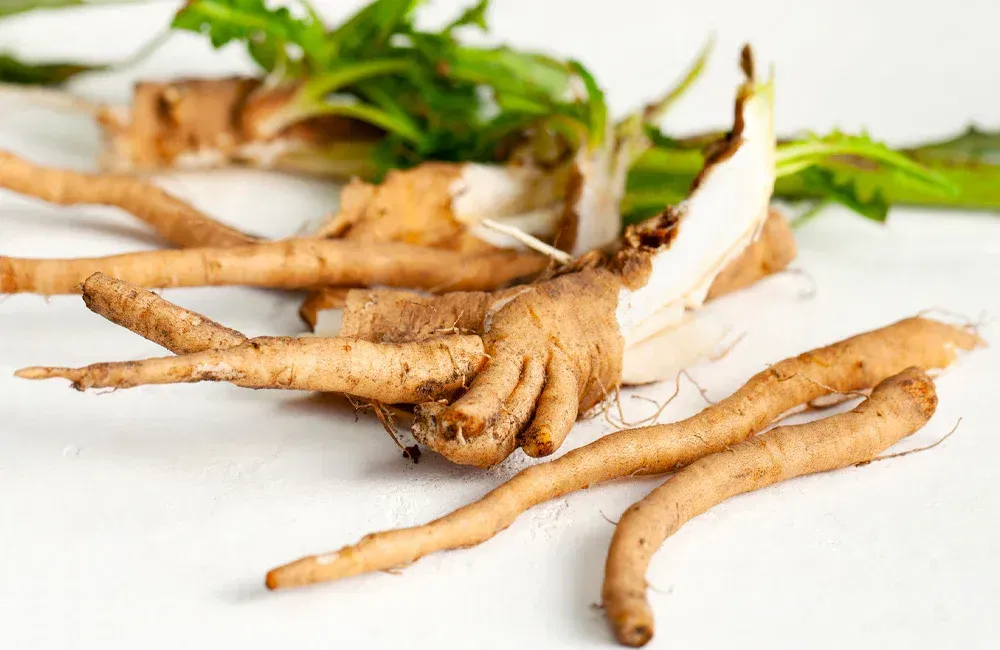 Chicory Root Inulin